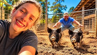 My Dad Got Me A Pig… It Freaked Out
