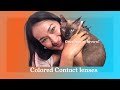 Colored contact lenses in gray, blue and brown eyes I bbbeautycontact.com