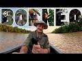 Tracking Endangered Wildlife Alone in Borneo