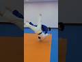유도 익히기 훈련 Judo Uchikomi Drills
