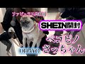 ペコピノさっちゃんSHEIN開封したりする📦