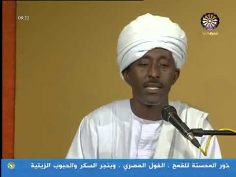 اولاد المرير عيب شبابي الماحجز