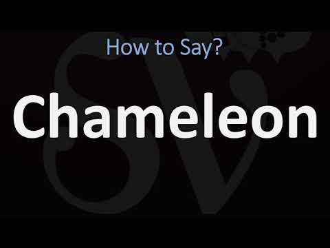 How To Pronounce Chameleon Uk, Us Pronunciation