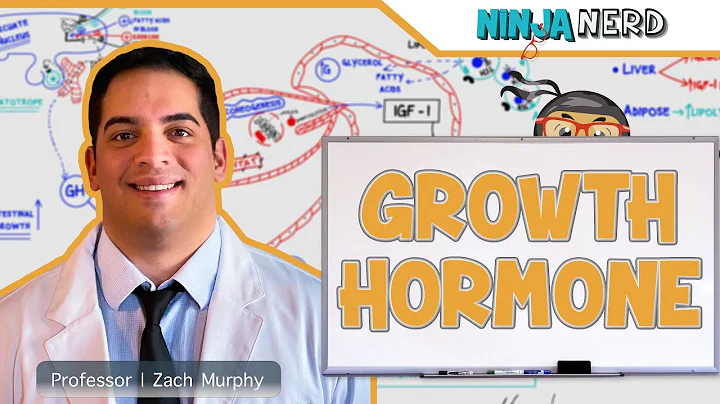 Endocrinology | Growth Hormone