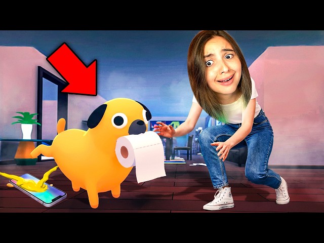 COMO ESSE CACHORRINHO CONSEGUIU DESTRUIR ESSA CASA INTEIRA??
