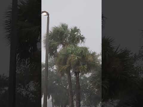 Wideo: Pogoda i klimat w Cocoa Beach na Florydzie