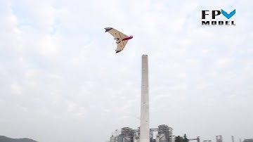 Skywalker Smart Flying Wing vs Feather X210 Racing Quad