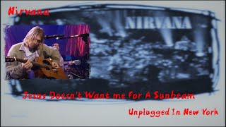 Nirvana  Jesus Doesnt Want Me For A Sunbeam unplugged S