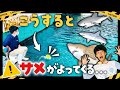 【水族館の裏側】サメだらけの水槽でエサやり！大迫力のバックヤードツアー！