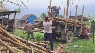 Celebrity Timber Truck of Doom – One Wrong Move Could Kill! Profile