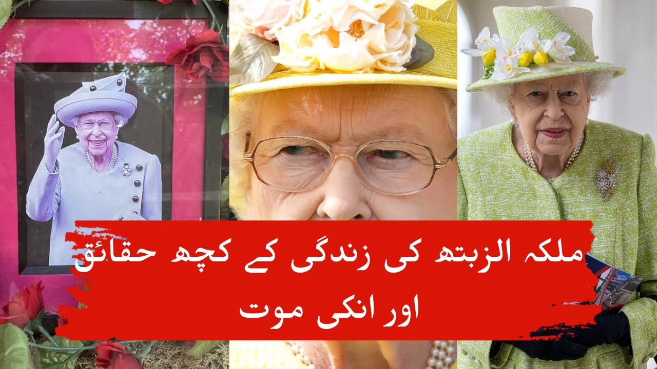 Top 10 Facts About Queen Elizabeth 10 Things You Didn't Know About