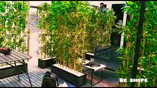 Pembatas Ruangan Partisi Bambu Indooroutdoor Pot Cordekorasi