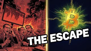 Bitcoin: The Greatest Protest in Human History (Satoshi Nakamoto story)