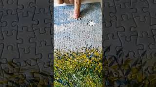 Oddly Satisfying | Last Missing Pieces of the Jigsaw Puzzle