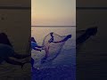 catch a big fish by castnet enjoy this videos. #shorts #fishing #fish #isshingvideo #villagelife