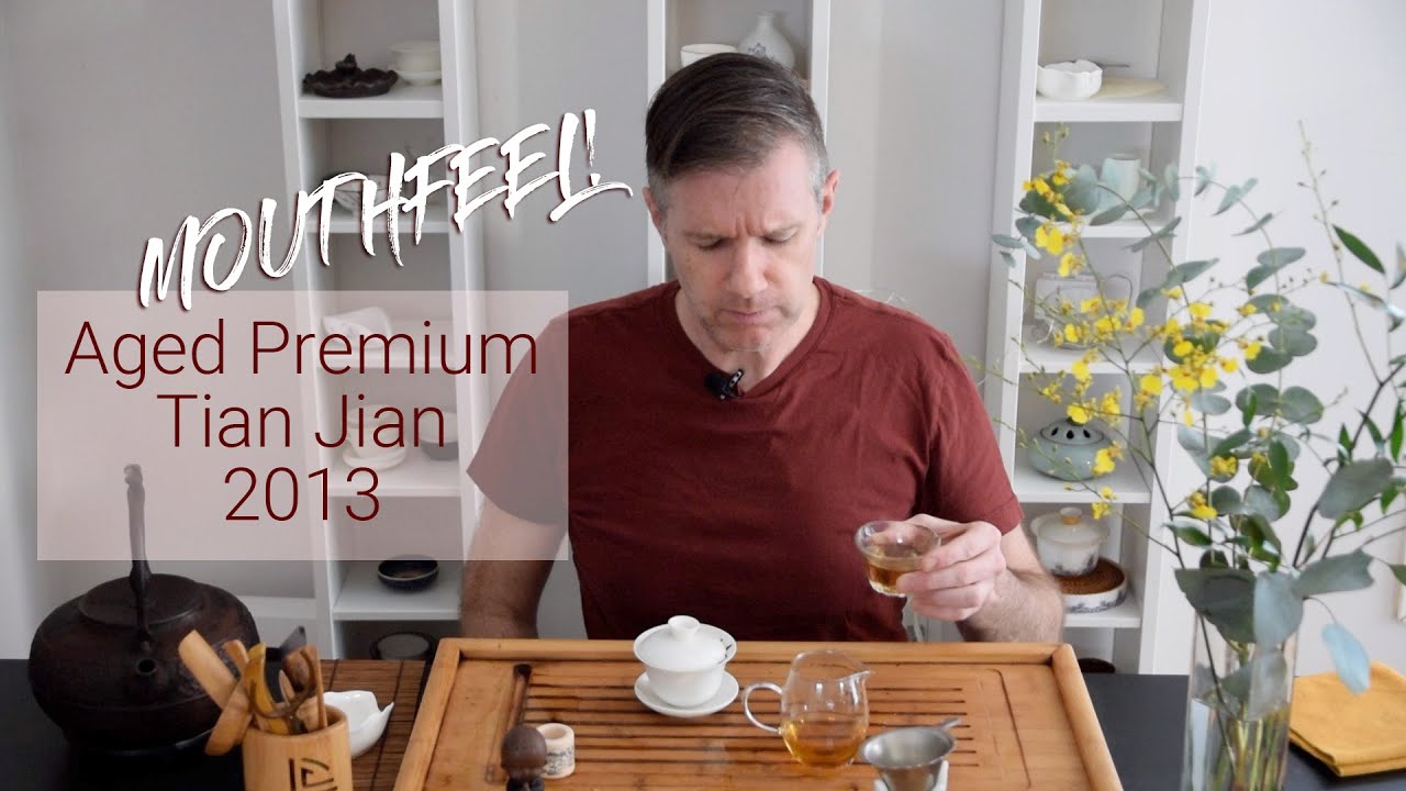 Dark Tea Tasting | Aged Premium Tian Jian 2013 | ZhenTea Sip Along
