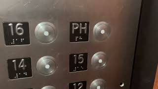 Westinghouse Traction Sabbath Elevator @ The Alexander Hotel | Miami Beach, FL