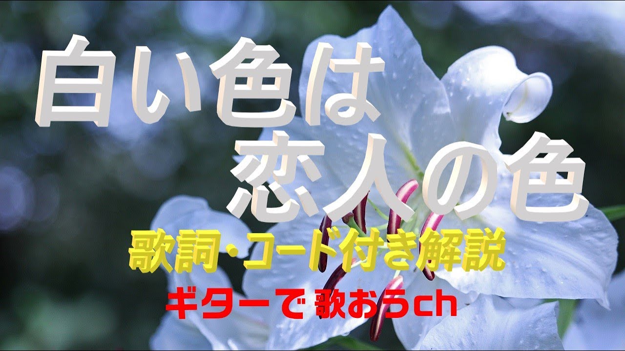 懐かしのフォークソング！『白い色は恋人の色』をシニアでも弾けるギター弾き語り解説