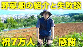 野菜畑の紹介と7万人登録ありがとう！農学部の失敗談とインターネットとの出会い