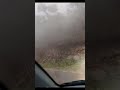 #fog #hillstation #roadtrip #odishatour #tatatiago #tatamotors #music