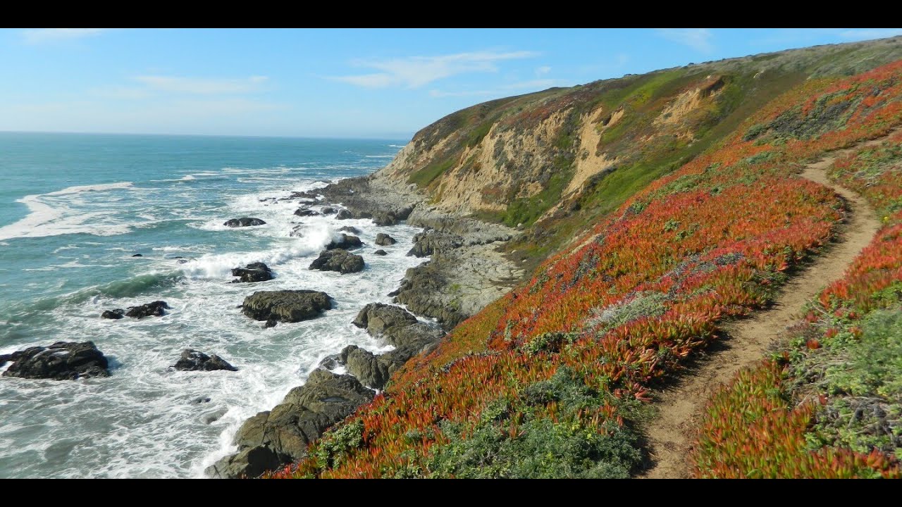 Bodega Bay Head Trail Sonoma County, California | Hiking