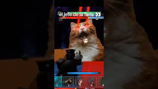 el jefe de la feria 👀#musica #memes #xd #ferias #laser #cats #humorabsurdo #roblox