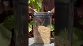 Make Your Kitchen Organised By These Containers