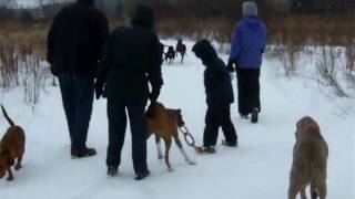 Running - 2.avi