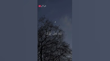 تلاوة خاشعة ومؤثرة القارى انس المالك 🎧❤️‍🩹 #اكسبلور #أرح_سمعك_وقلبك #طمئن_قلبك #راحة_نفسية