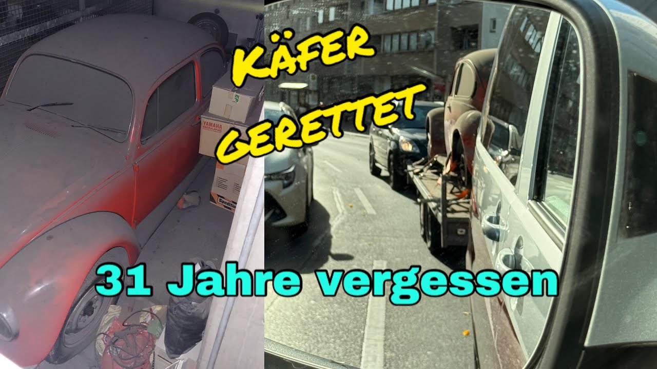Vergessenen VW Käfer nach 31 Jahren aus einer Garage gerettet. Ob der noch läuft. 