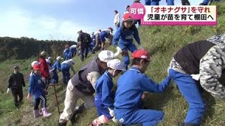 【中古】 哀しみをみつめて 新潟中越地震災害ボランティア活動ドキュメント/ふきのとう書房/福生ボランティア連絡協議会 中古】 哀しみをみつめて 新潟中越地震災害ボランティア活動