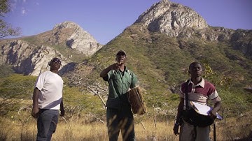 Critical Ecosystem Partnership Fund