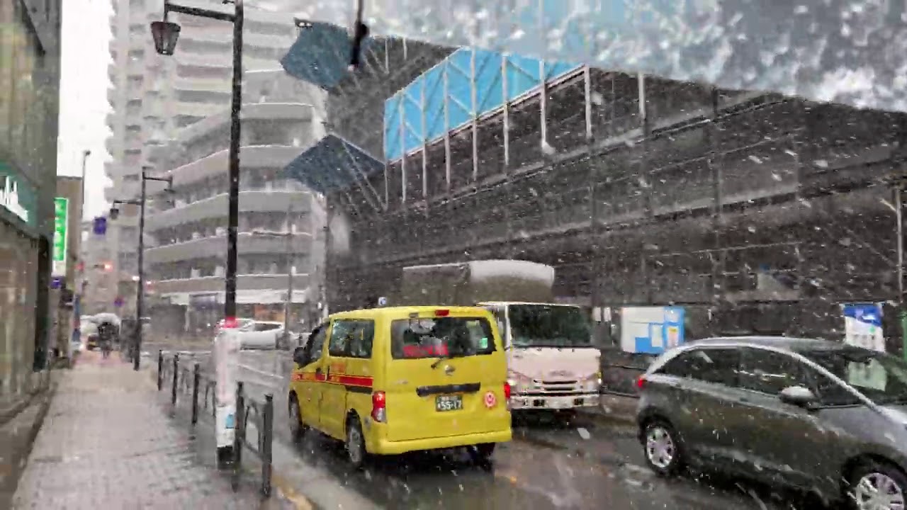 Snowfall in Tokyo 28th of January 2021(First snow this year )東京の降雪,東京で雪が降る