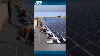 Celebrity Innovative Floating Solar Power Station—Watch the Incredible Launch! Net Worth