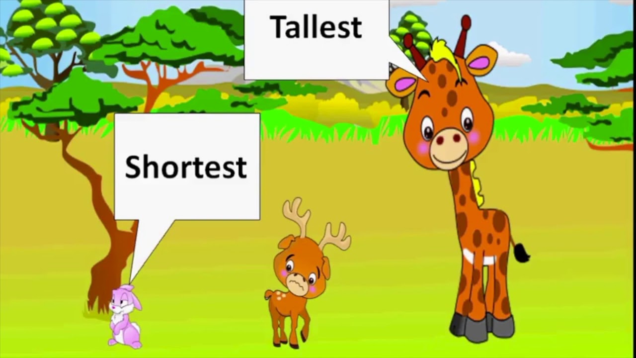 Giraffes are thin than hippos