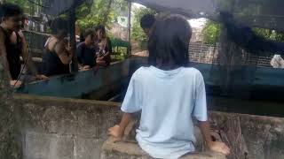 Uncut | VID_20230730_170402