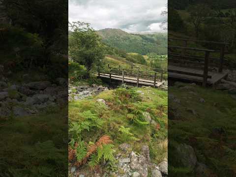 Through The Viewfinder Landscapephotography Fujifilm Photography Shorts Lakedistrict