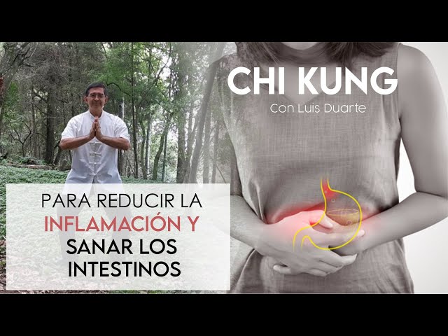 Como reducir la INFLAMACION y sanar tus INTESTINOS con ejercicios de CHI KUNG class=