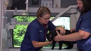 Welcome To Capital Home Veterinary Care