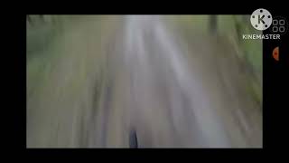 Man Getting Chased By A Bear But With Seek Chase Music