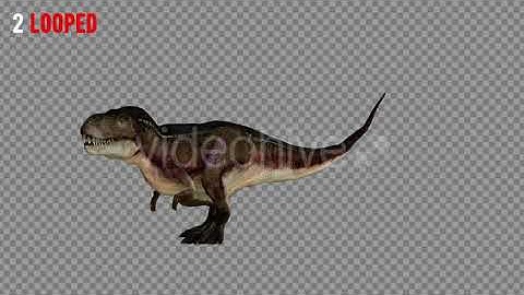 T-REX 5 Realistic Pack 5 | Motion Graphics - Envato elements