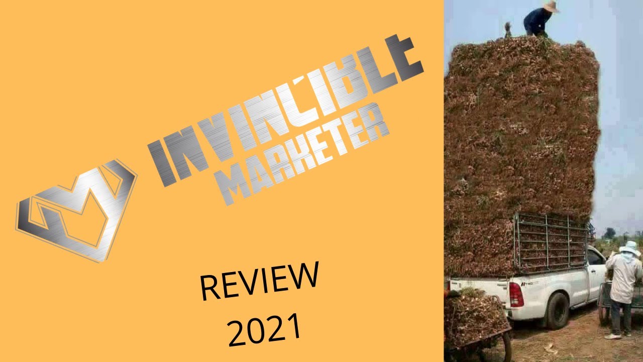 Invincible Marketer  Review 2021