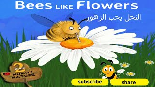 BEES LIKE FLOWERS | live pictures in my book | Short Stories for Kids