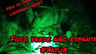 #Caçada de Tatu/ Veio no foco da LANTERNA VERDE! screenshot 4
