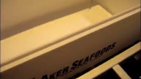 ale CORAL 144  FULL COLOUR PRINTER polystyrene