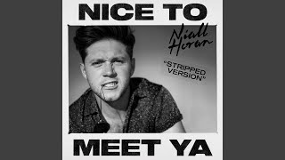 Nice To Meet Ya (Stripped Version)
