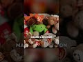 World’s Largest Beanie Babies Collection?? | The Beanie Bubble Documentary