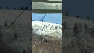 IMG 8363