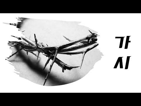 목티비_찬양도시락_가시(Cover by 목전)_찬양_세로라이브