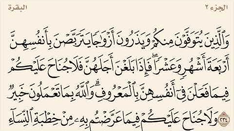 سورة البقرة مكررة من آية 234 إلى 237 القارئ وديع اليمني